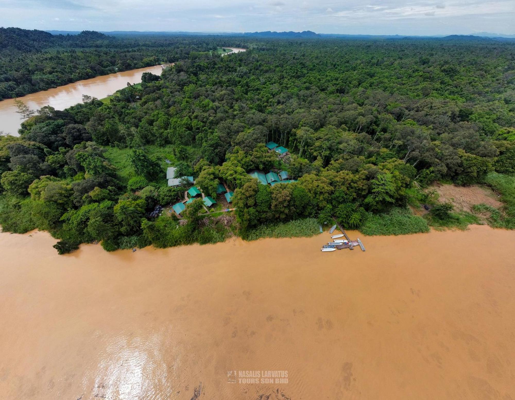 Nature Lodge Kinabatangan Bilit Bagian luar foto