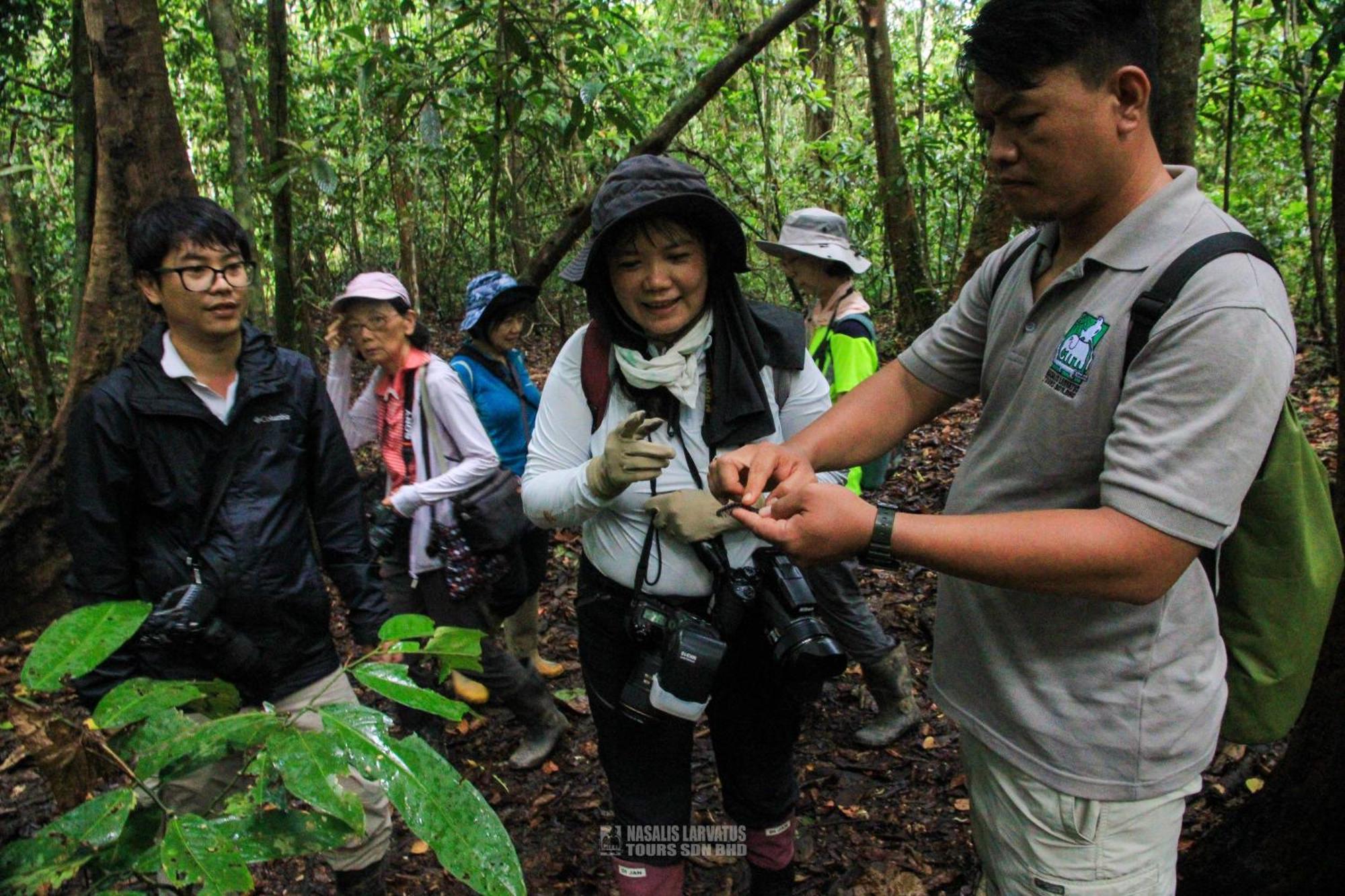 Nature Lodge Kinabatangan Bilit Bagian luar foto