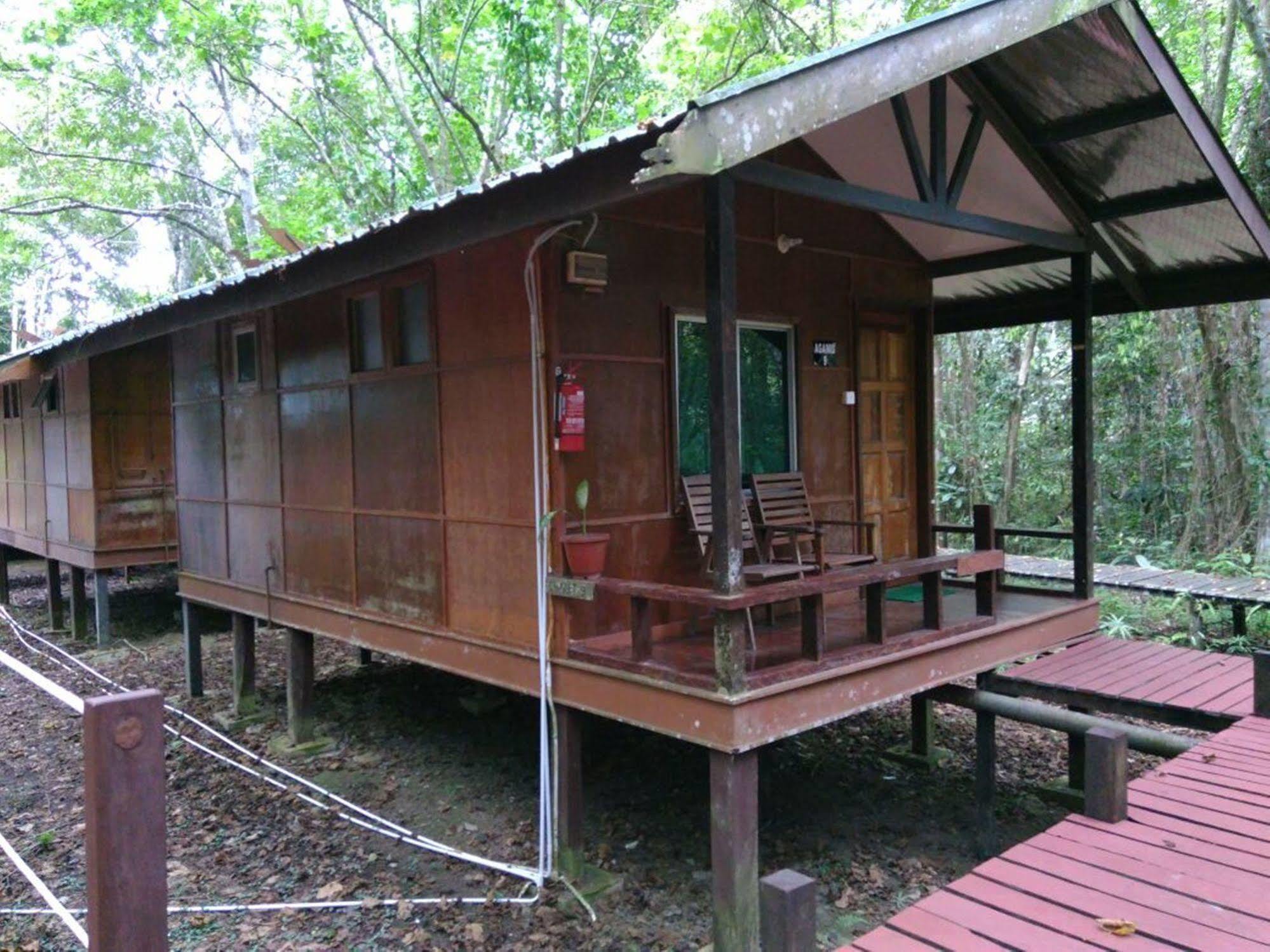 Nature Lodge Kinabatangan Bilit Bagian luar foto
