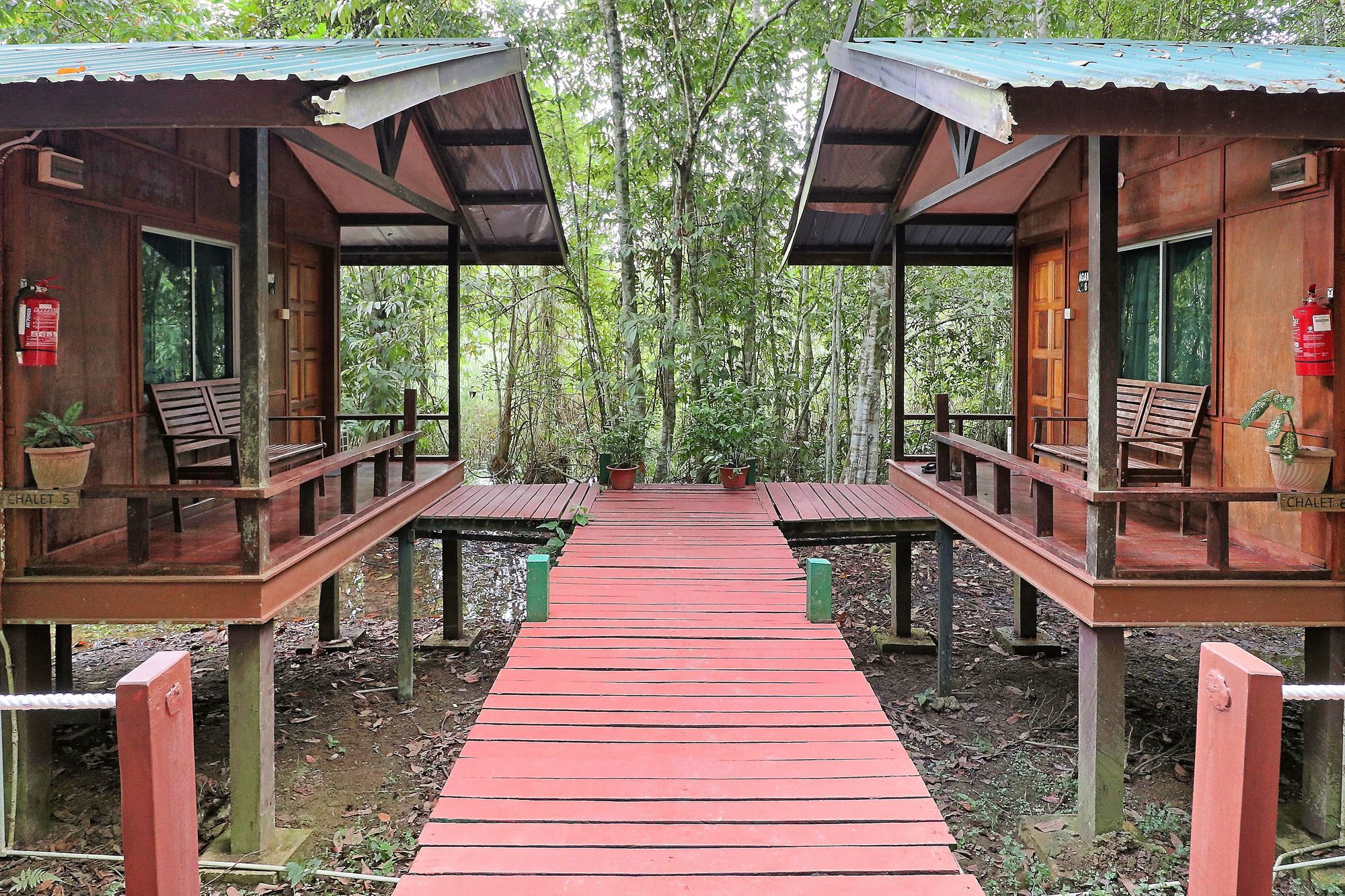 Nature Lodge Kinabatangan Bilit Bagian luar foto