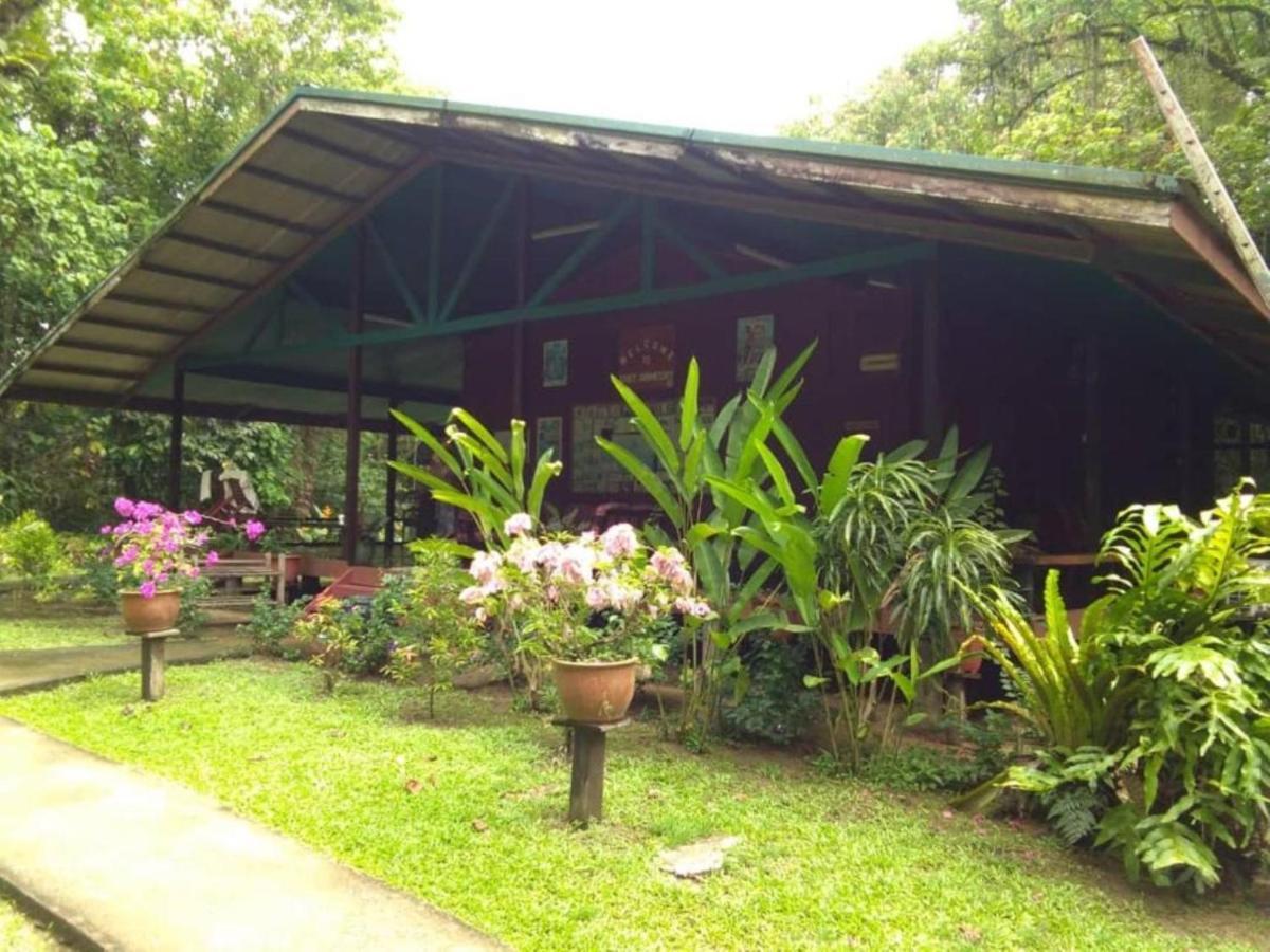 Nature Lodge Kinabatangan Bilit Bagian luar foto