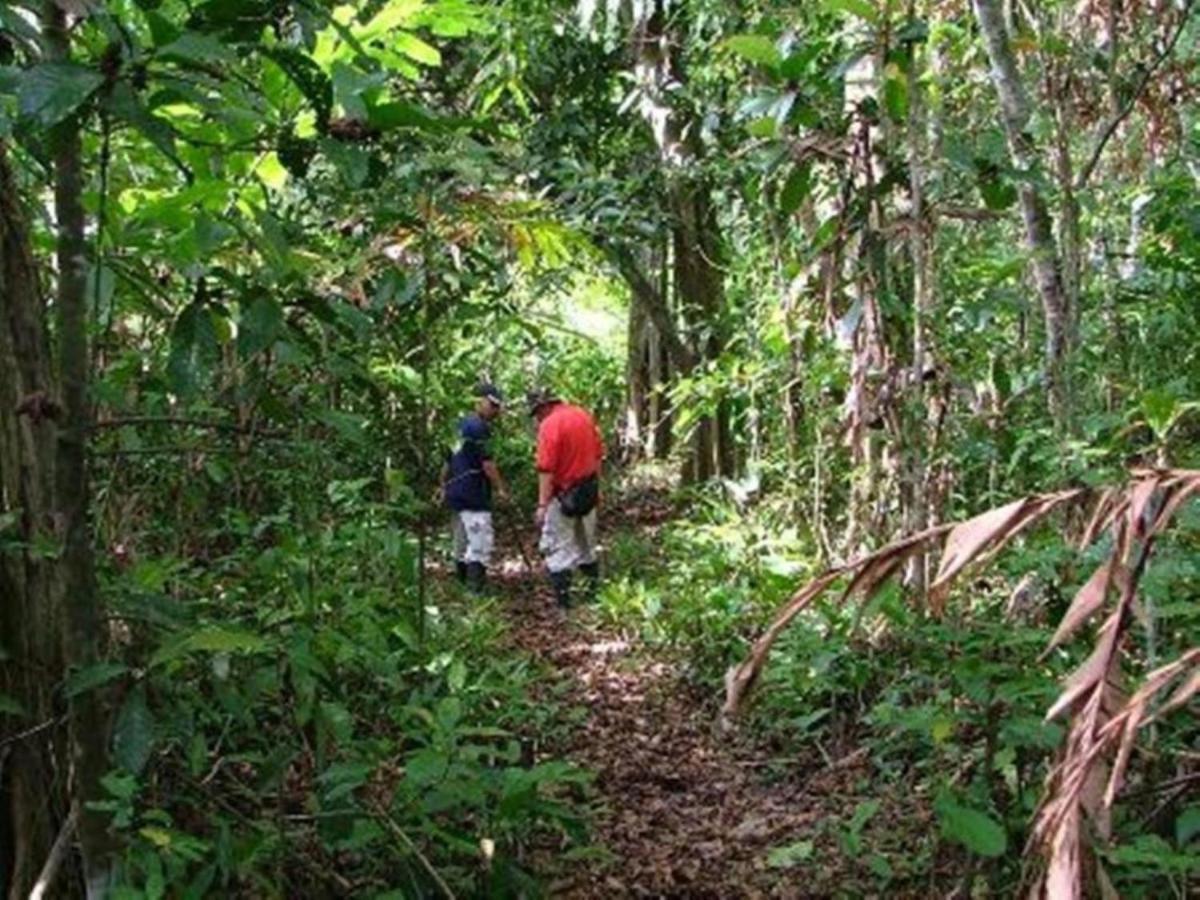 Nature Lodge Kinabatangan Bilit Bagian luar foto
